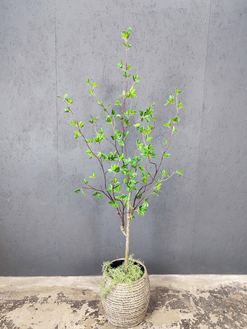 May include: A small artificial tree with green leaves in a woven basket planter. The tree is potted in a brown basket with a moss-like material around the base.