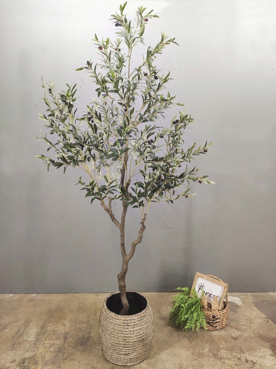 VIAGDO Árbol de olivo artificial para interiores de 7 pies de alto, árbol  de seda de olivo falso con maceta, grandes ramas de olivo sintético y
