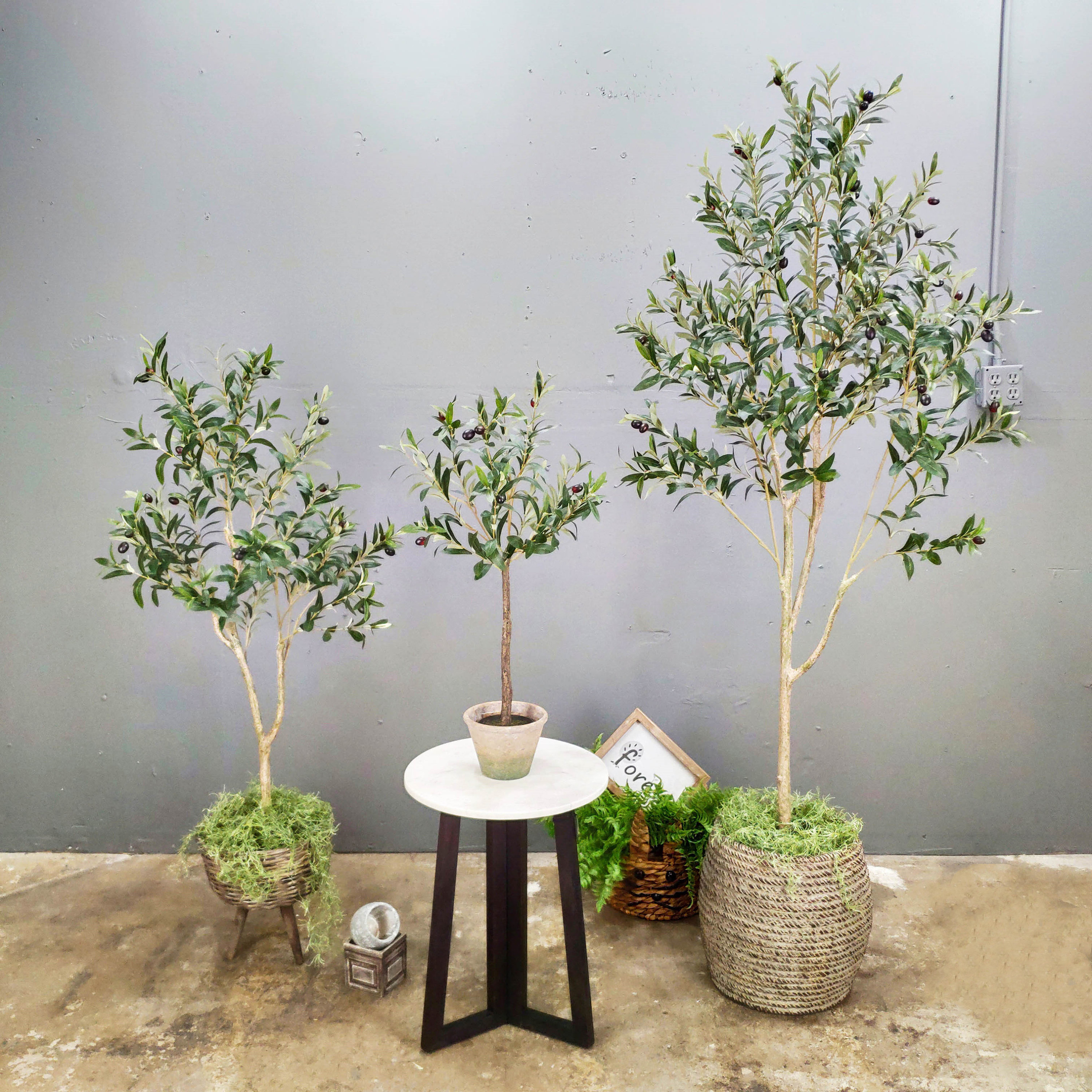 Árbol de olivo artificial de 5 pies de alto, árbol de olivo sintético  topiario de seda con cesta tejida hecha a mano, plantas artificiales para  el