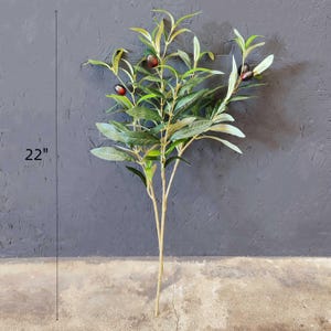 May include: A 22-inch artificial olive branch with green leaves and dark purple olives. The branch is shown against a gray background.