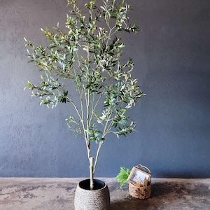 Puede incluir: Un olivo artificial en una cesta tejida. El árbol tiene ramas delgadas con hojas verdes y pequeños brotes con forma de aceituna. La cesta es de color gris claro. A la derecha del árbol hay una pequeña cesta decorativa con un letrero.