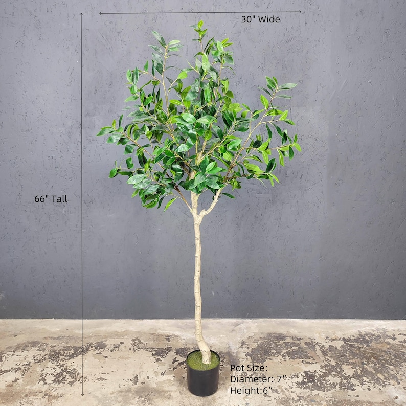 K&ouml;nnte beinhalten: Ein k&uuml;nstlicher Ficusbaum, 168 cm hoch, mit gr&uuml;nen Bl&auml;ttern und einem braunen Stamm. Der Baum steht in einem schwarzen Topf mit 18 cm Durchmesser. Der Topf ist 15 cm hoch.