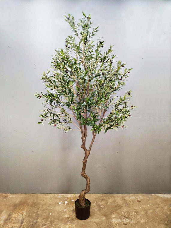 Olivo artificial grande de 94, árbol artificial, árbol de seda, planta de  seda artificial, árbol artificial verde -  México