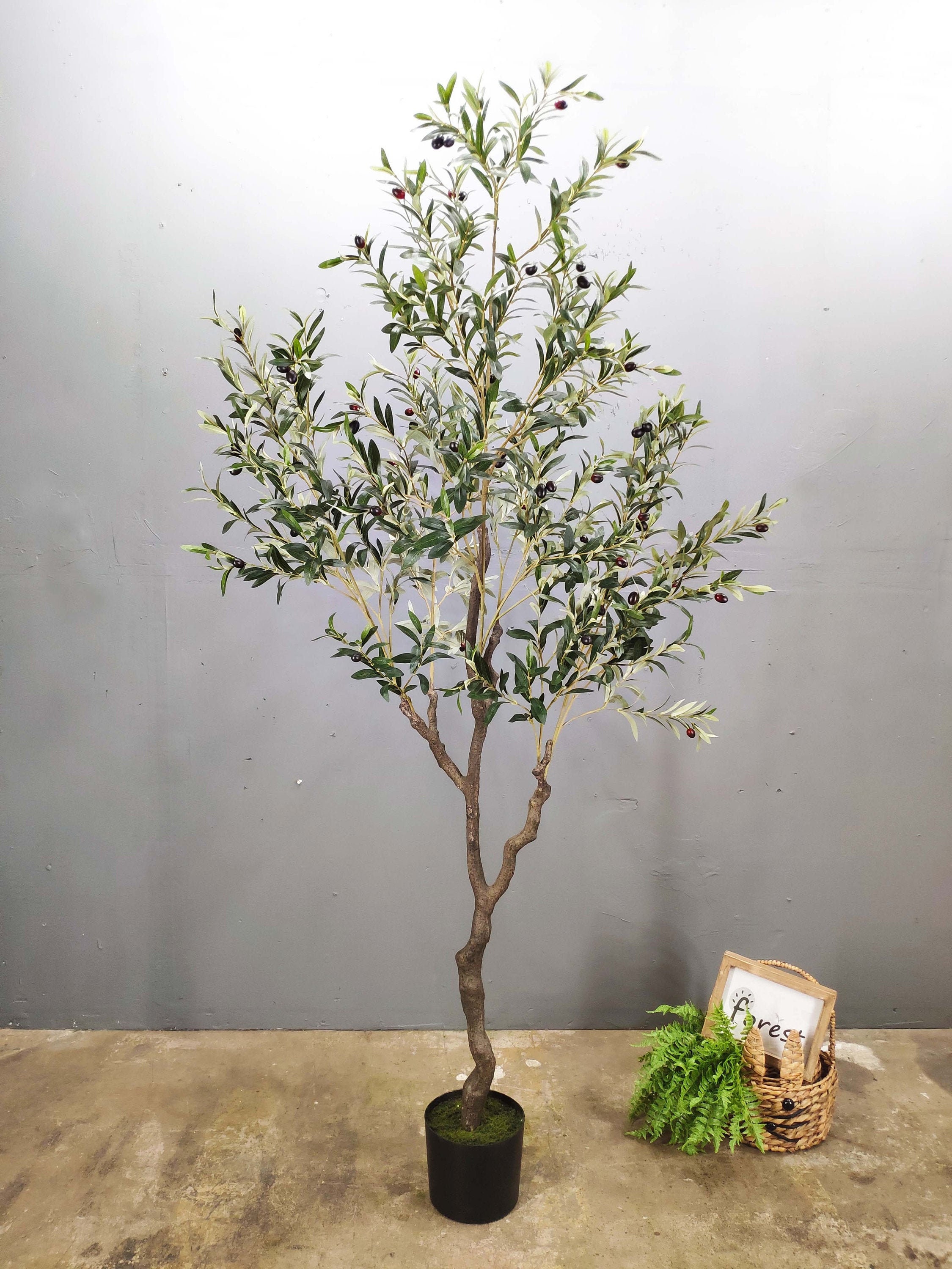 7ft Artificial Olive Tree Tall Fake Potted Olive Silk Tree with Planter  Large Faux Olive Branches and Fruits Artificial Tree for Office House  Living