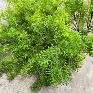 May include: A bunch of green artificial greenery with long, thin leaves. The greenery is ideal for adding a touch of nature to any space.