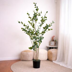 May include: A tall artificial eucalyptus plant in a black pot. The plant features multiple slender, brown stems with numerous branches of green, round leaves. The plant is placed on a beige rug in a room with neutral-toned decor.
