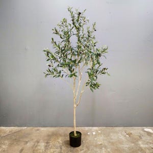 May include: A potted artificial olive tree with green leaves and black olives. The tree is in a black pot and is standing on a gray concrete floor.