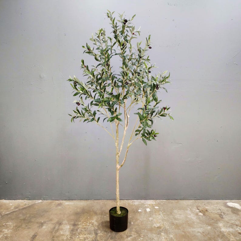 May include: A potted artificial olive tree with green leaves and black olives. The tree is in a black pot and is standing on a gray concrete floor.