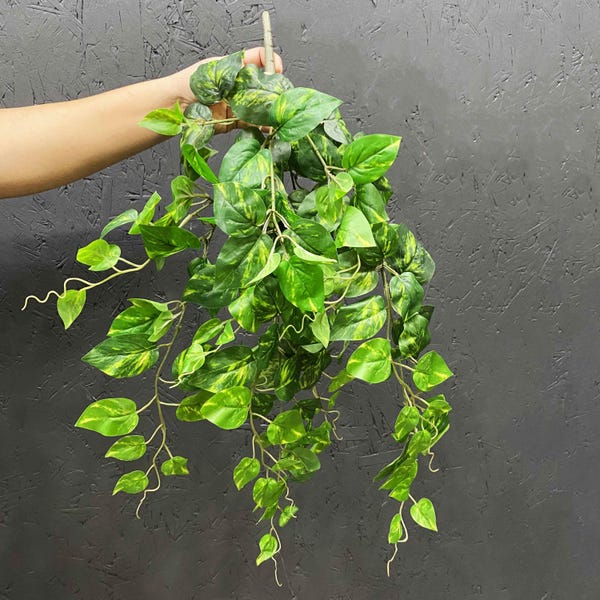 Artificial Pothos Plant: Hanging Green Scindapsus Leaves, 26" Long