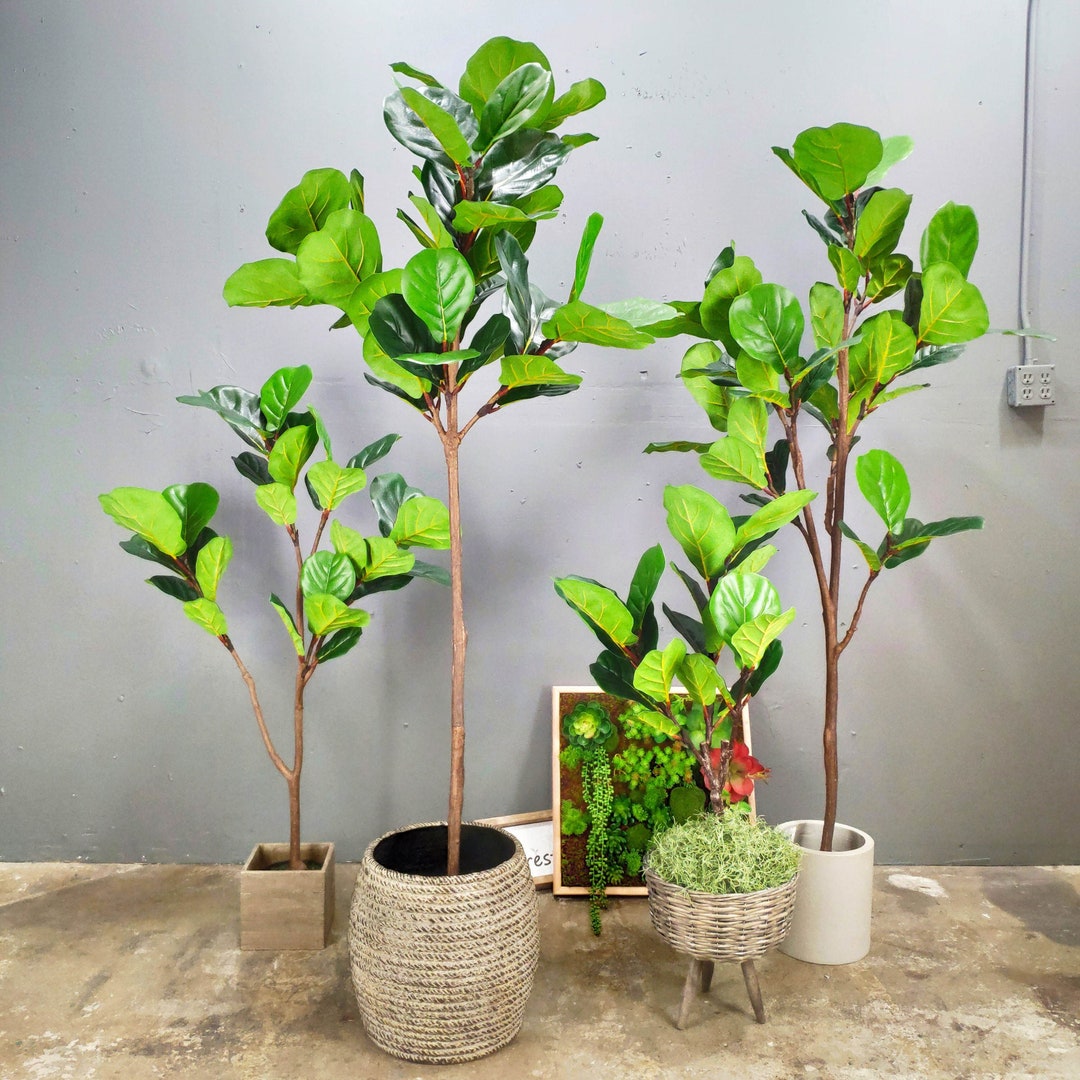 Artificial treeartificial plant Artificial Fiddle Leaf Fig Etsy 日本
