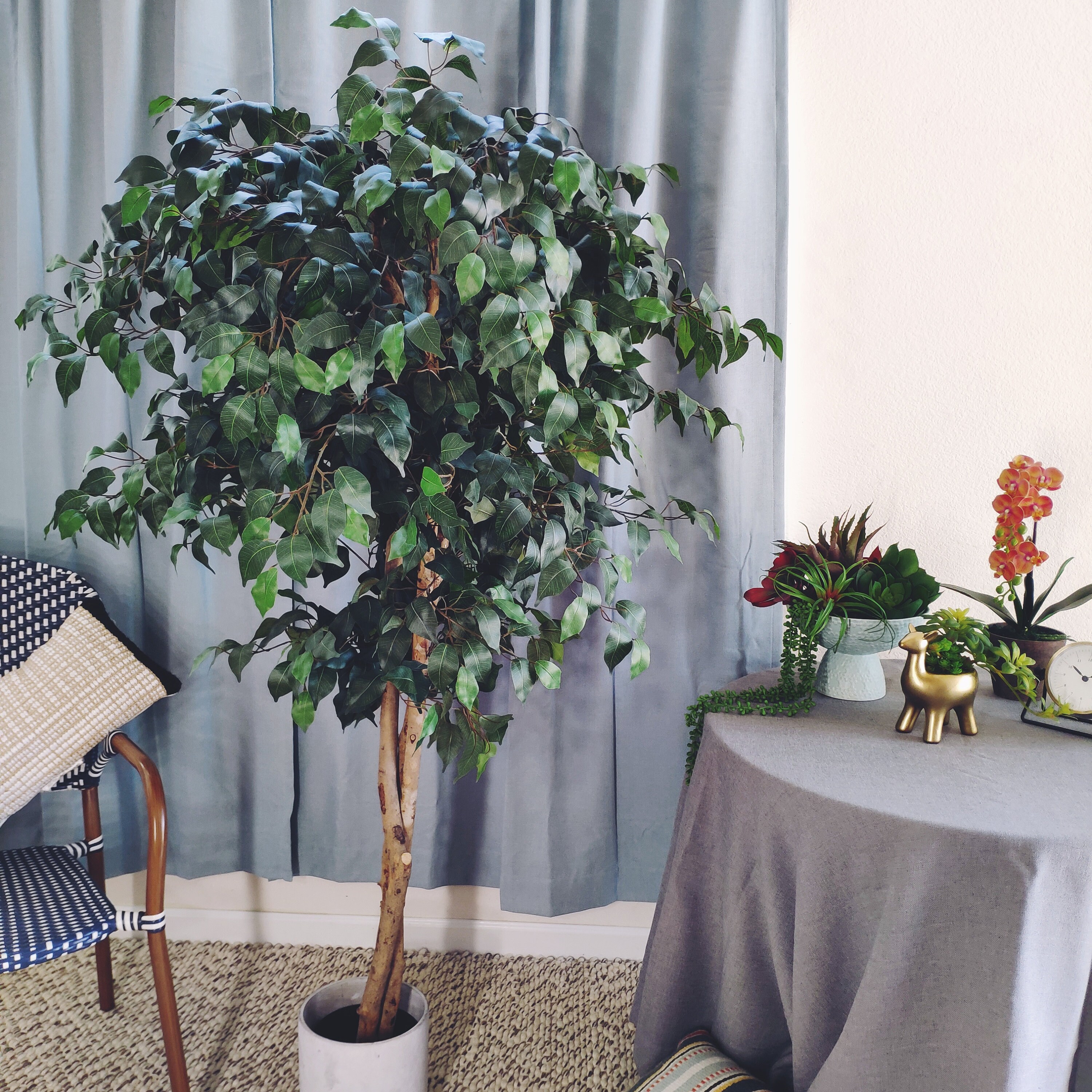 Decorative Ficus Silk TreeArtificial Ficus TreeArtificial Etsy