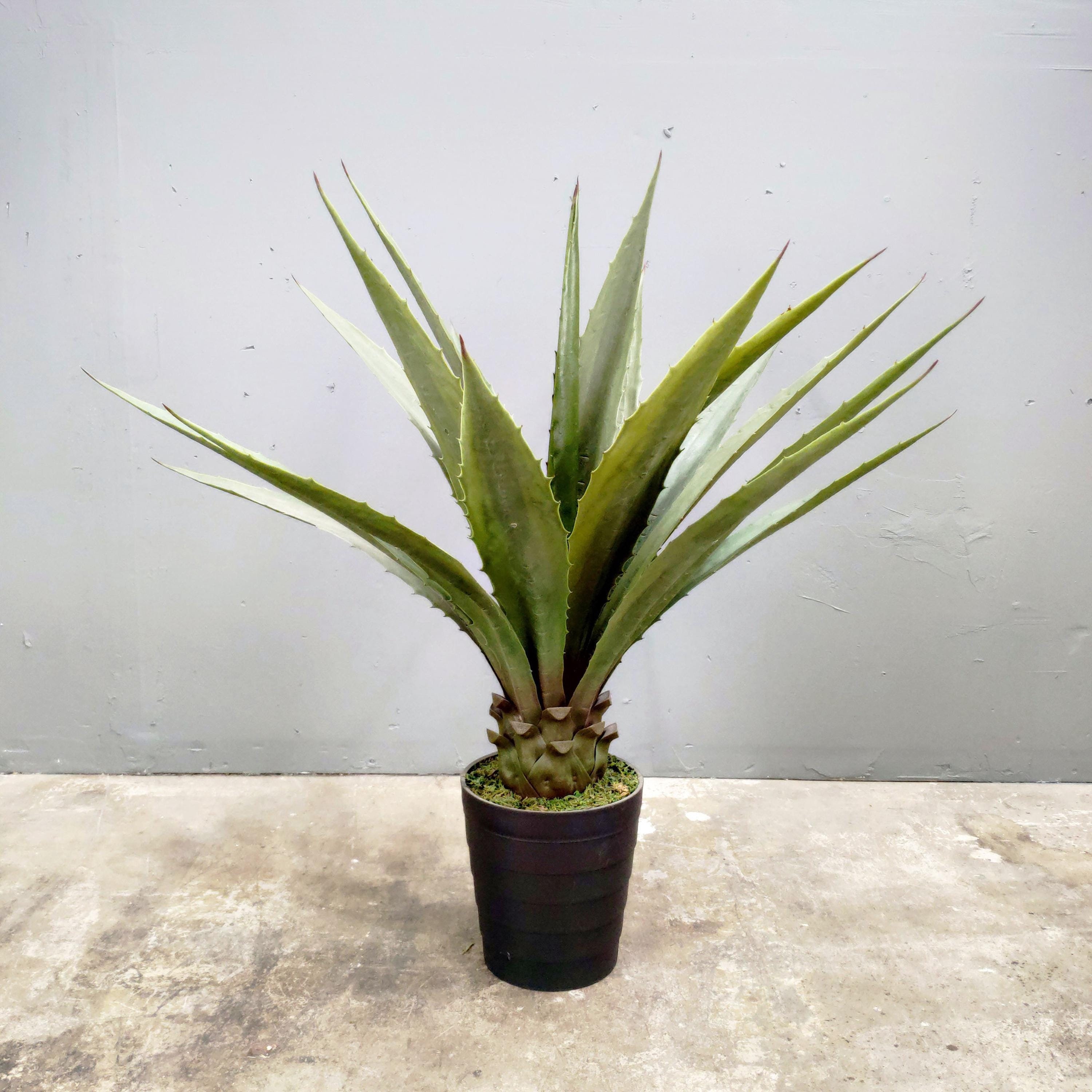 Outdoor artificial agave plant - Etsy Schweiz