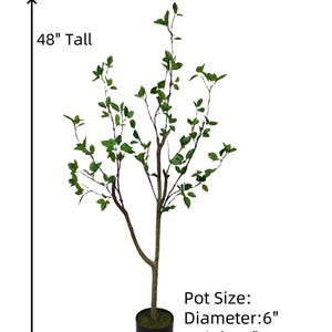 May include: A 48-inch tall artificial tree with green leaves and a brown trunk. The tree is in a black pot with a 6-inch diameter and a 5-inch height.