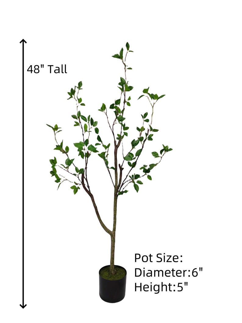 May include: A 48-inch tall artificial tree with green leaves and a brown trunk. The tree is in a black pot with a 6-inch diameter and a 5-inch height.