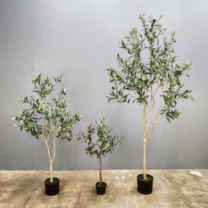 May include: Three artificial olive trees in black pots, arranged from smallest to largest, against a gray wall background.
