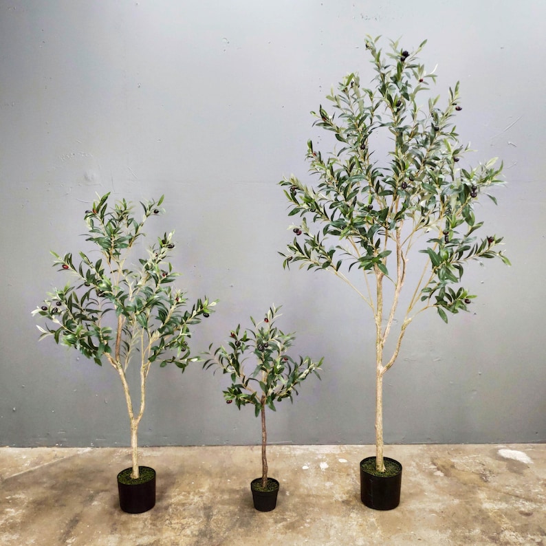 May include: Three artificial olive trees in black pots, arranged from smallest to largest, against a gray wall background.