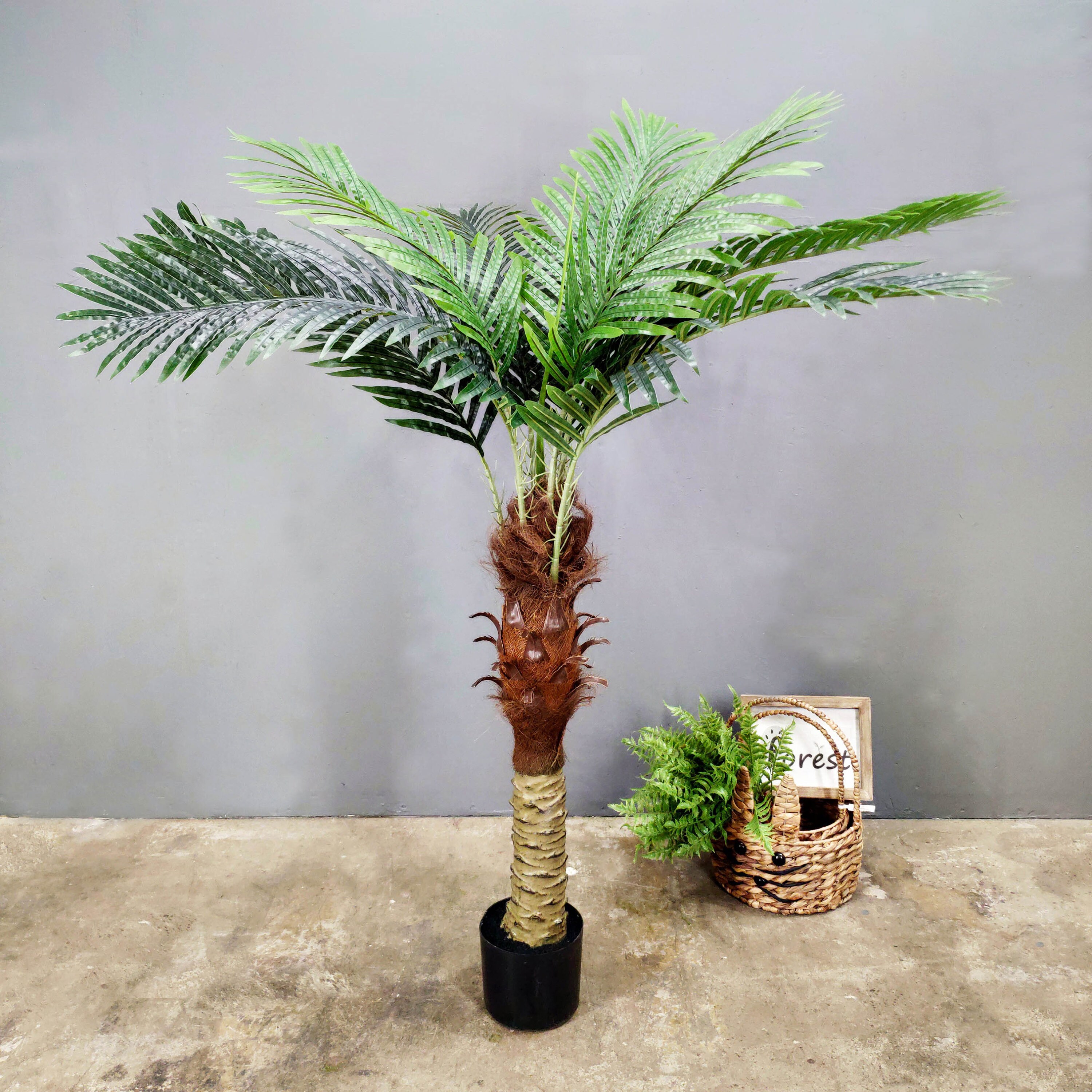 Areca Palm Árbol de seda decorativo Palmera artificial Palmera fénix -   México