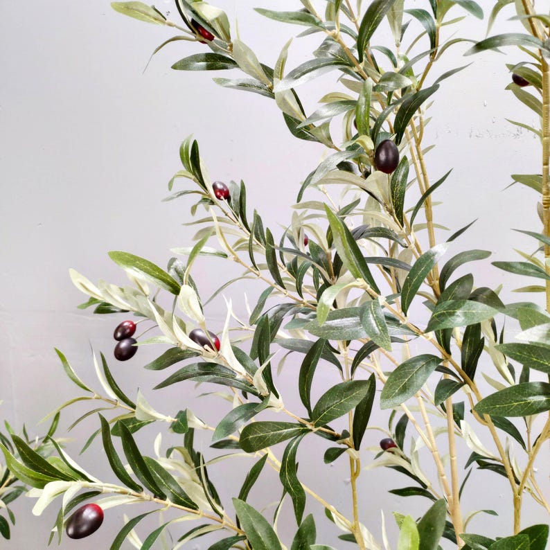 May include: A close-up of an artificial olive tree with green leaves and dark purple olives. The tree is in a pot, but the pot is not visible in the image.