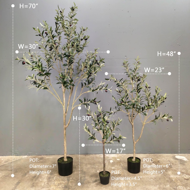 May include: Three artificial olive trees in black pots, with measurements in inches. The largest tree is 70 inches tall and 30 inches wide, the middle tree is 30 inches tall and 17 inches wide, and the smallest tree is 48 inches tall and 23 inches wide.