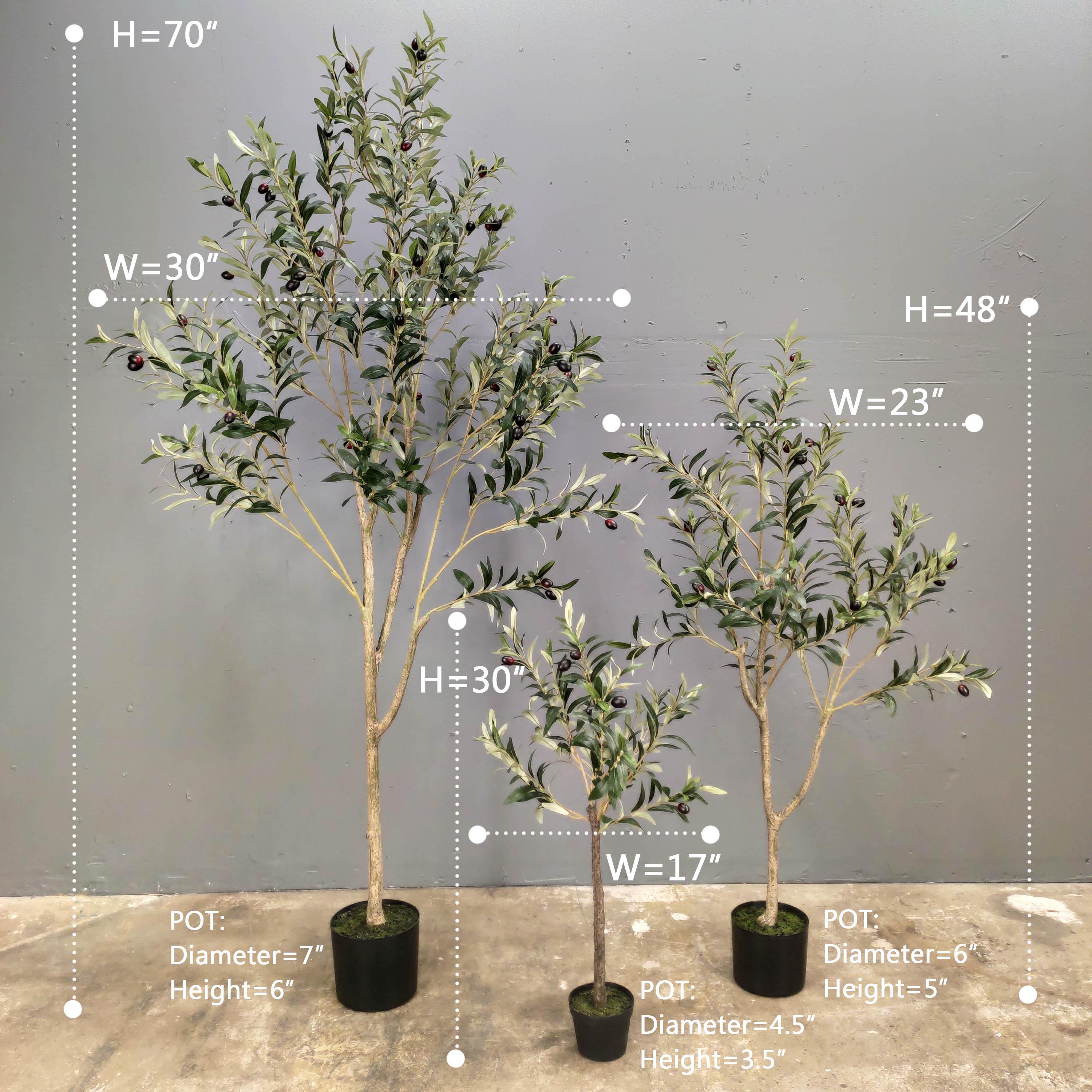 Albero Come Pianta Perenne Con Tronco Rami E Foglie Set Di Illustrazioni Gm1530126721 525080267