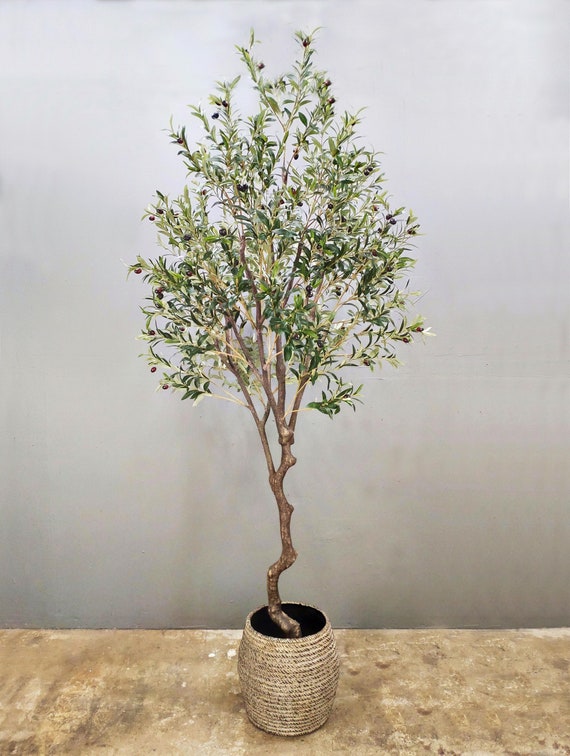 Artificial Olive Tree in Woven Basket Plant Pot