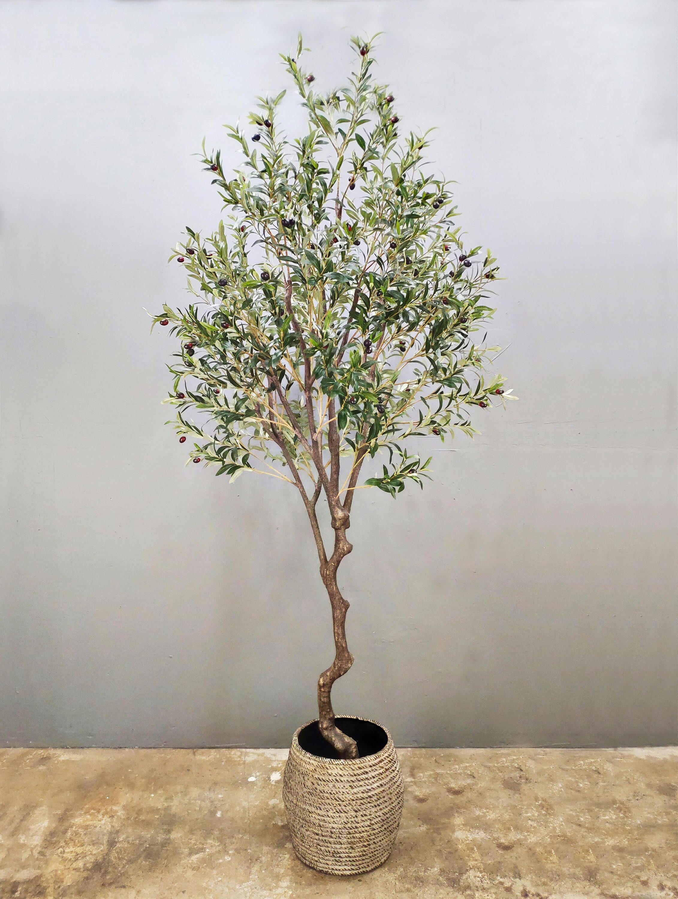 Artificial Olive 7' Tree with Artisan Mediterranean Planter