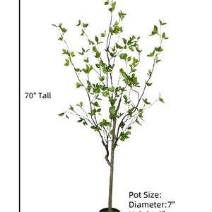 May include: A 70-inch tall artificial tree with green leaves and a black pot. The pot is 7 inches in diameter and 6 inches tall.