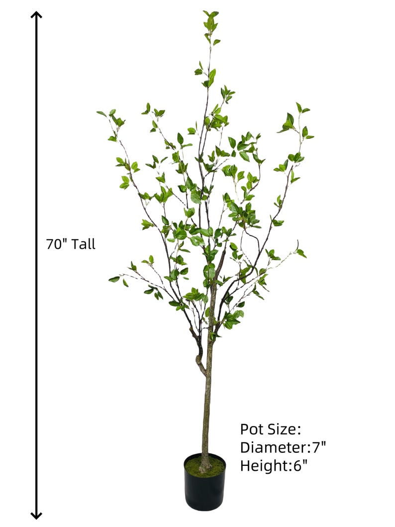 May include: A 70-inch tall artificial tree with green leaves and a black pot. The pot is 7 inches in diameter and 6 inches tall.