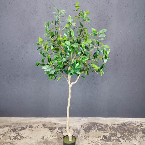 5.5ft Artificial Bay Leaf Tree: Faux Laurus Tree, Green Silk Plant