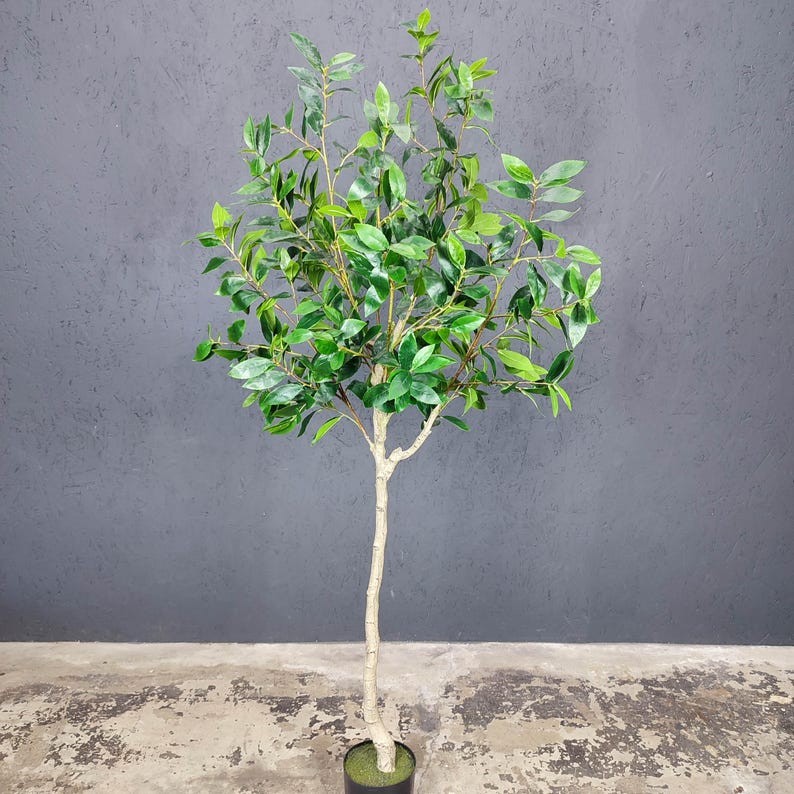 K&ouml;nnte beinhalten: Ein gr&uuml;ner Kunstbaum mit einem wei&szlig;en Stamm in einem schwarzen Topf. Der Baum hat viele &Auml;ste und Bl&auml;tter.