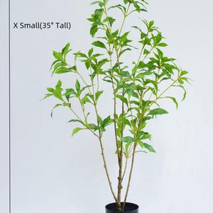Artificial Japanese Enkianthus Tree Faux - Etsy