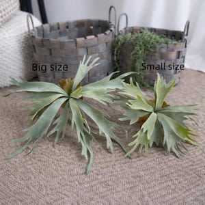 May include: Two artificial staghorn ferns, one labeled "Big size" and the other "Small size", are displayed on a textured surface. The ferns have light green, antler-like fronds. Two gray woven baskets are in the background.