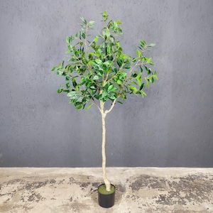 K&ouml;nnte beinhalten: Ein k&uuml;nstlicher Olivenbaum im Topf mit einem hellbraunen Stamm und gr&uuml;nen Bl&auml;ttern. Der Baum steht in einem schwarzen Topf mit gr&uuml;nem Sockel.