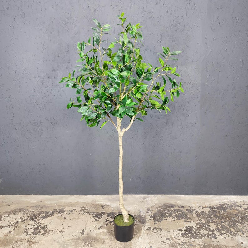 K&ouml;nnte beinhalten: Ein k&uuml;nstlicher Olivenbaum im Topf mit einem hellbraunen Stamm und gr&uuml;nen Bl&auml;ttern. Der Baum steht in einem schwarzen Topf mit gr&uuml;nem Sockel.