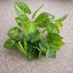 May include: A cluster of artificial green leaves with yellow-green veining. The leaves are heart-shaped and arranged in a dense, natural-looking arrangement. The plant is set against a neutral, textured background, suggesting a decorative or ornamental use.