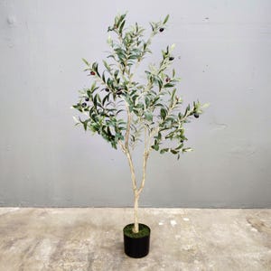 May include: A potted olive tree with green leaves and black olives. The tree is in a black pot with a brown base.
