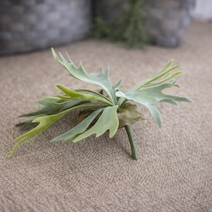 May include: A small, artificial plant with multiple light green, jagged-edged leaves. The plant has a dark green stem and is set against a neutral-toned background. The plant appears to be a decorative element.