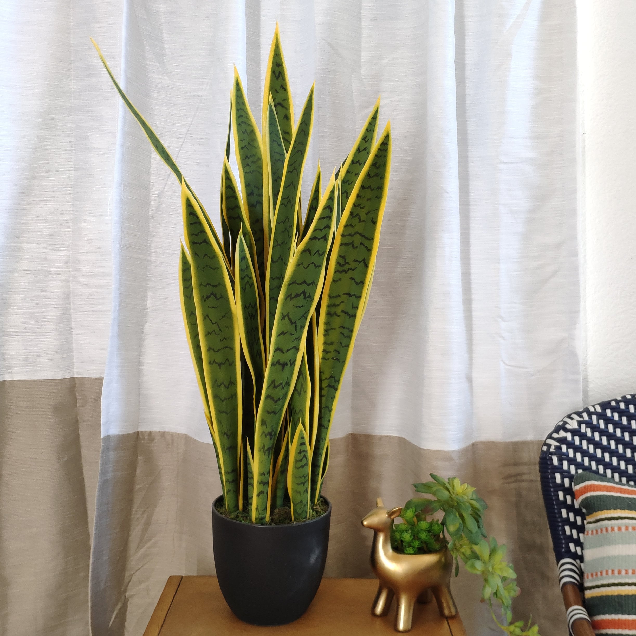 33" Artificial Snake Plant in Black Planter - Etsy