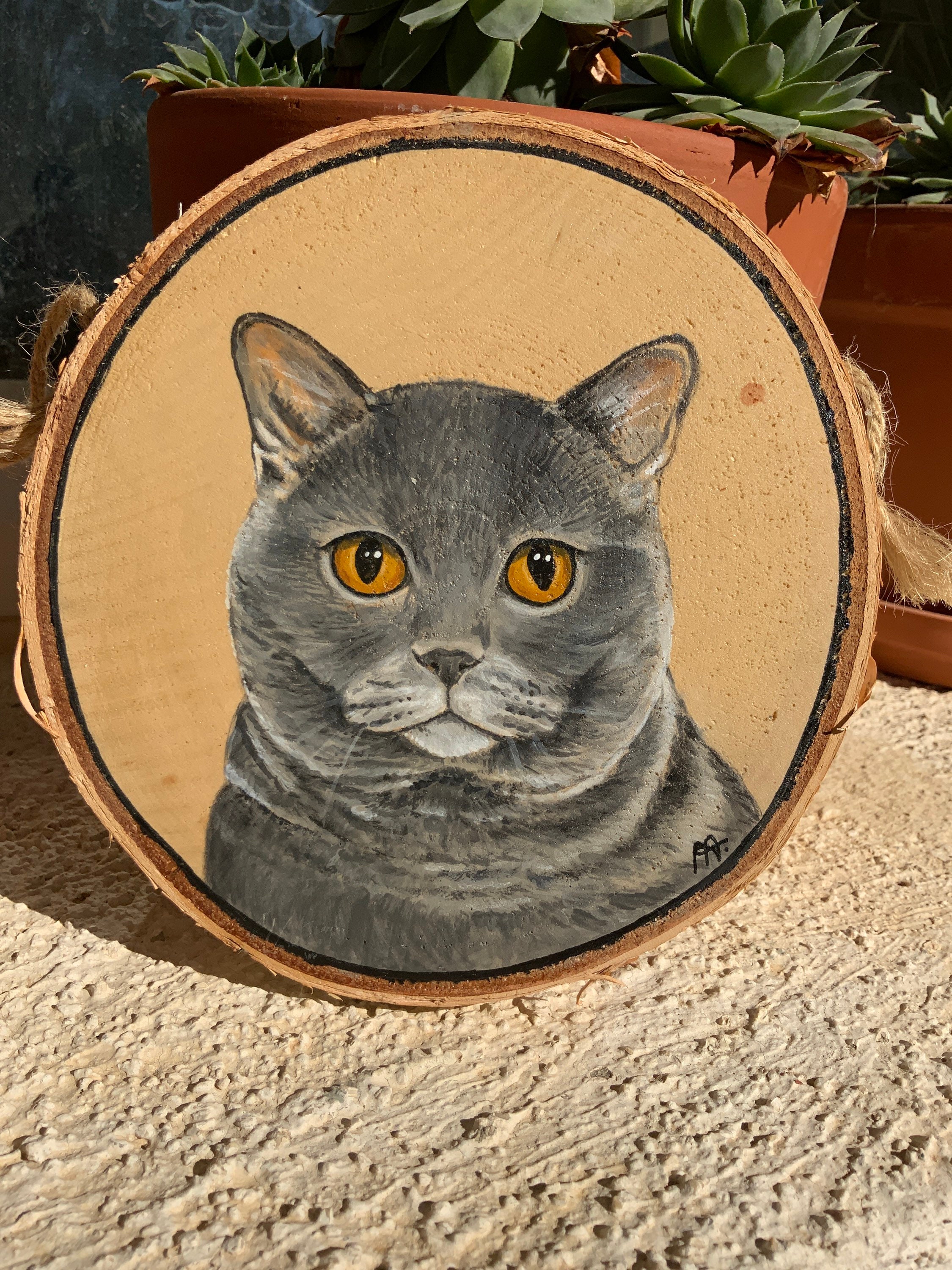 Chat Chartreux Peint sur Bois