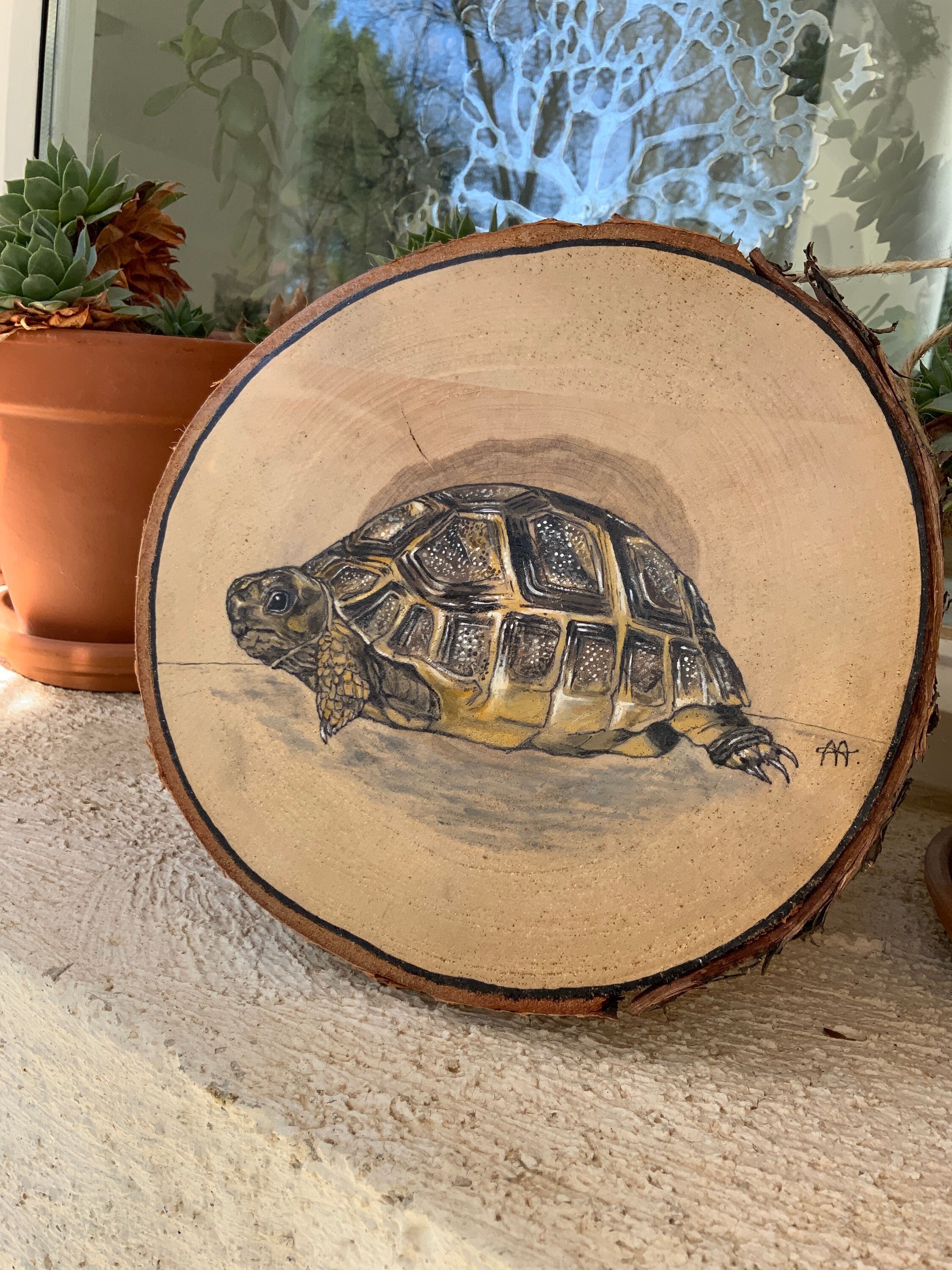 Tortue Peinte sur Bois