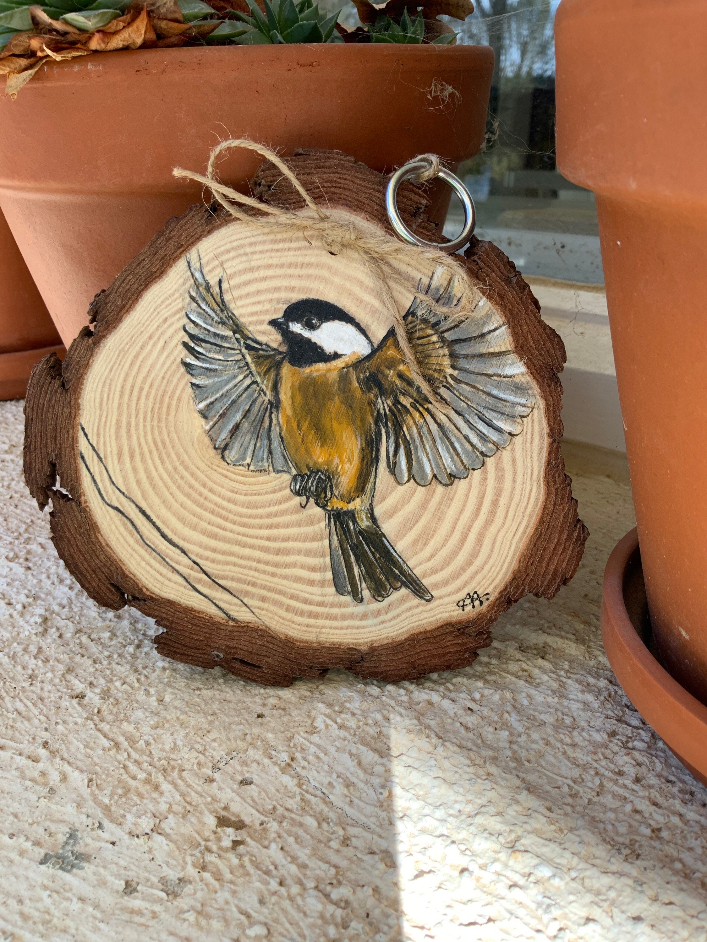 Oiseau Une Histoire Vraie