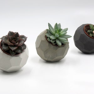 Geometric concrete vases (Pentaexa)