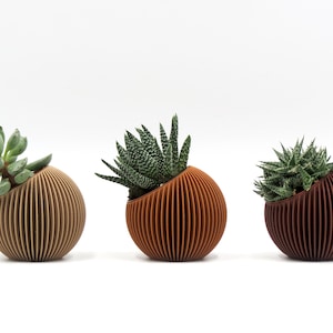 Succulent Pots, 3d Printed Planter