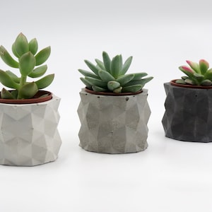Geometric concrete pots