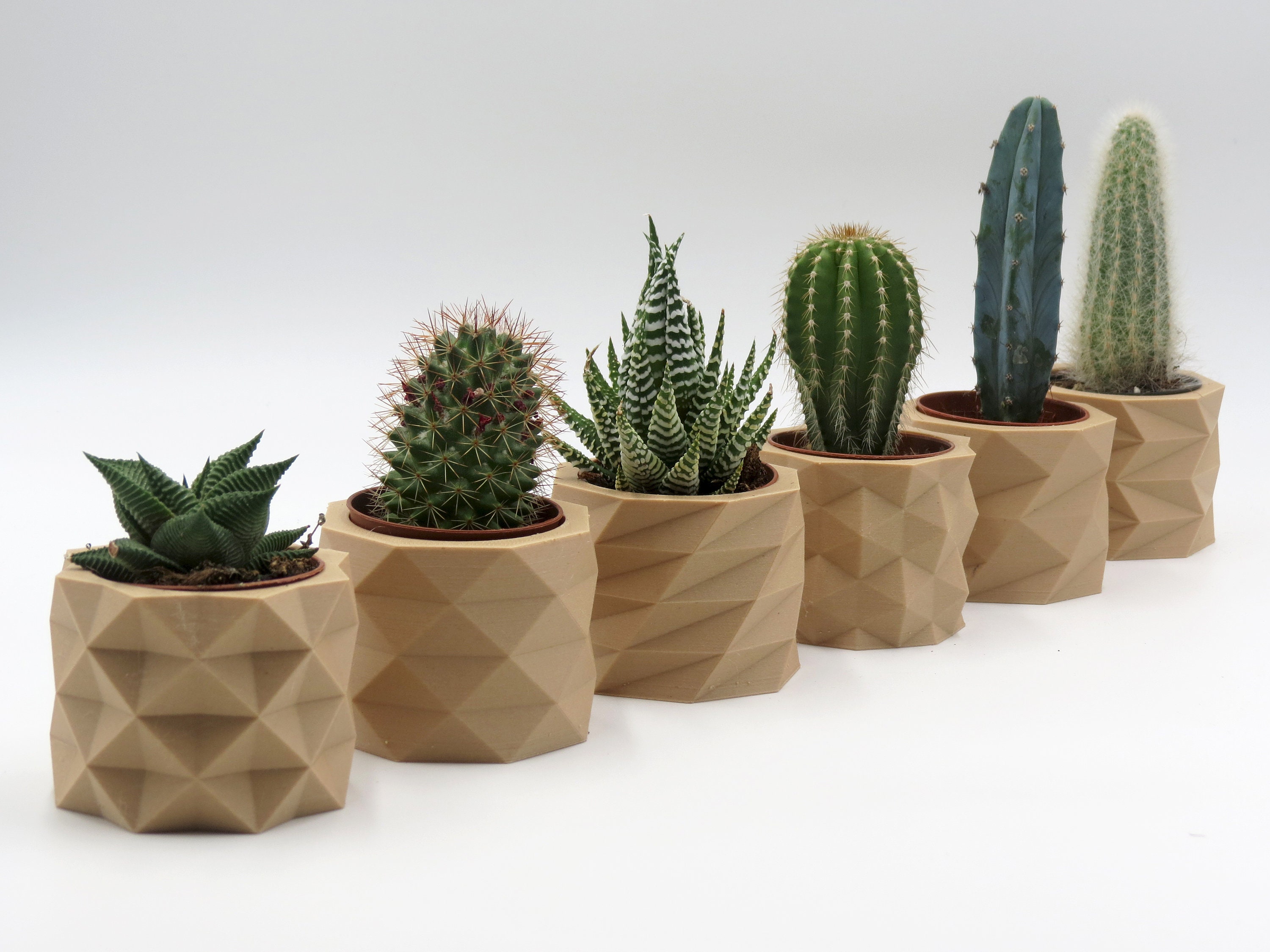 3D Printed Wooden Flower Pots, Planters 
