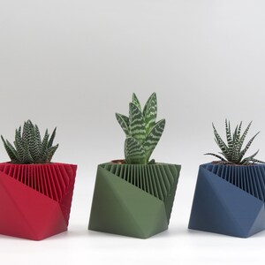 Puede incluir: Tres macetas geométricas en rojo, verde y azul, cada una con una pequeña planta suculenta en su interior.