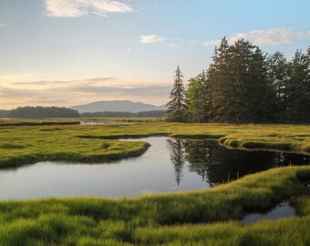 Acadia's Moeras
