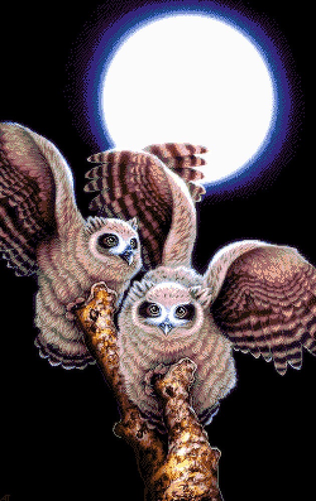 Long-Eared Owls Bead Embroidery Kit, Full Beaded Cross Stitch on Aida Fabric, DIY