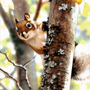 Kit per ricamo con perline di scoiattolo, punto croce con perline su tessuto Aida, fai da te