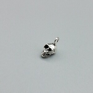 Pu&ograve; includere: Un ciondolo a forma di teschio in argento con un design dettagliato. Il teschio &egrave; rivolto a destra e ha un piccolo anello nella parte superiore per attaccarlo a una collana o un braccialetto.